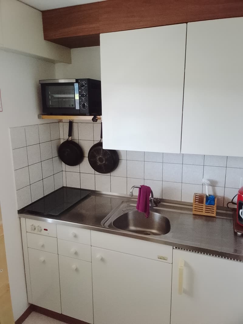 Schöne 1,5 Zimmerwohnung mit Blick auf den Säntis (1)