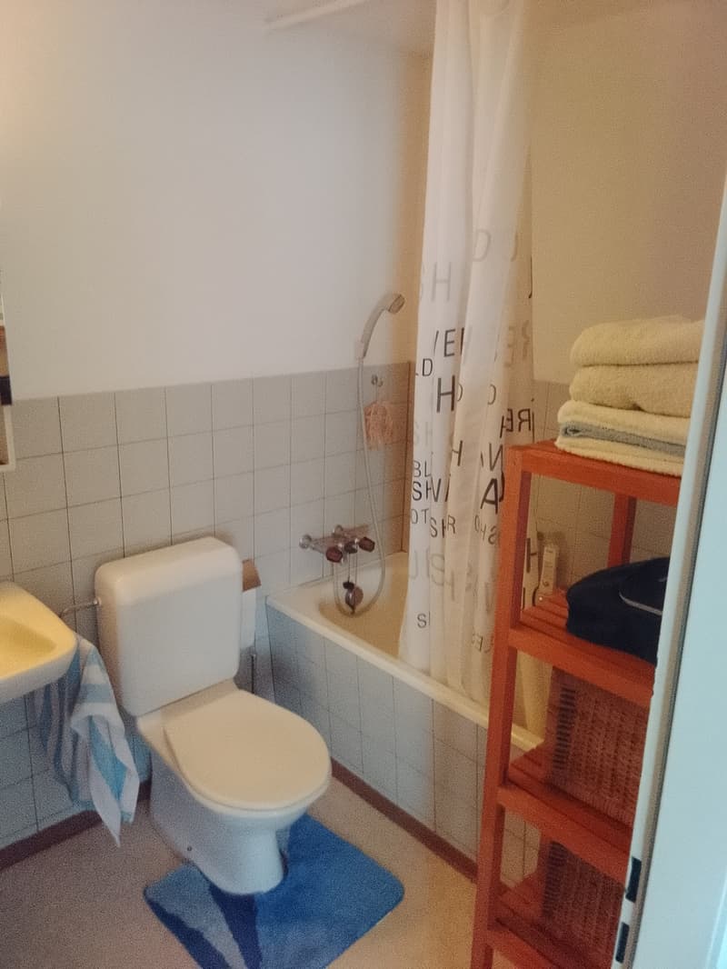 Schöne 1,5 Zimmerwohnung mit Blick auf den Säntis (4)