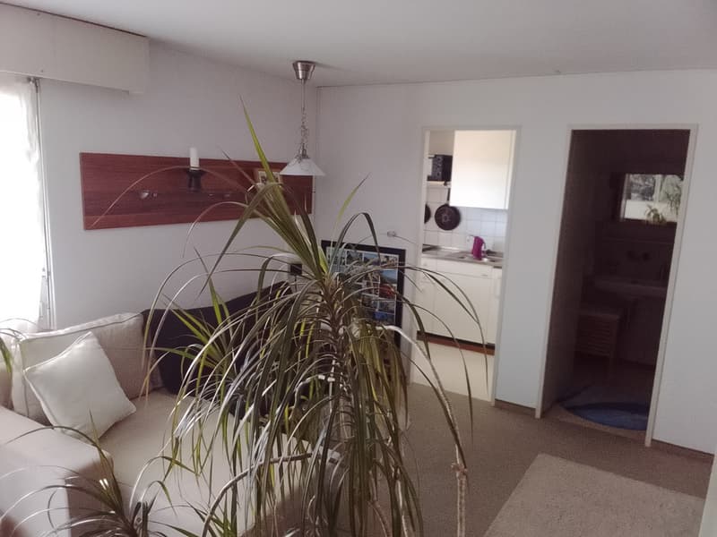 Schöne 1,5 Zimmerwohnung mit Blick auf den Säntis (6)