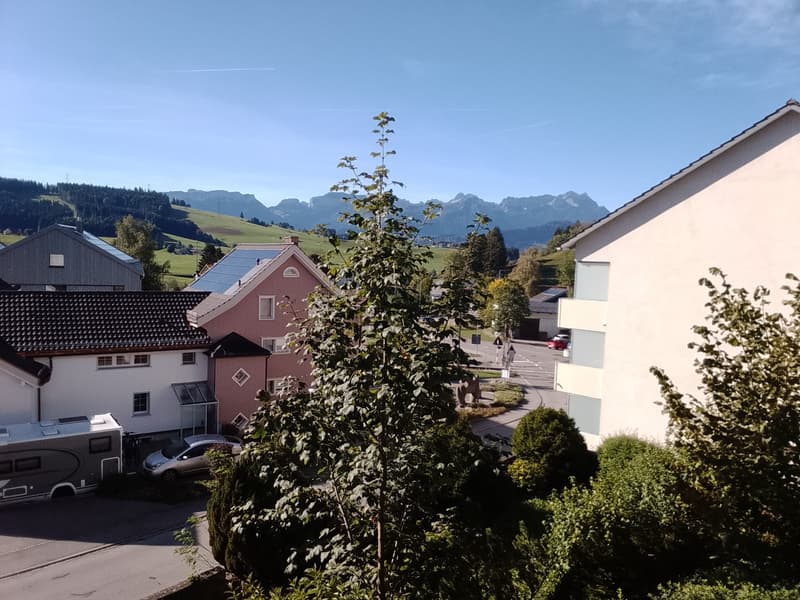 Schöne 1,5 Zimmerwohnung mit Blick auf den Säntis (7)