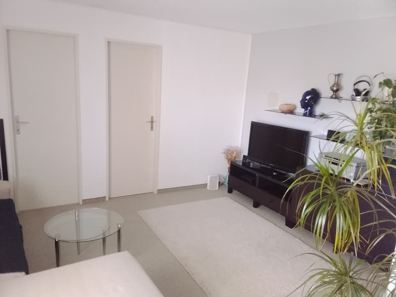 Schöne 1,5 Zimmerwohnung mit Blick auf den Säntis (3)