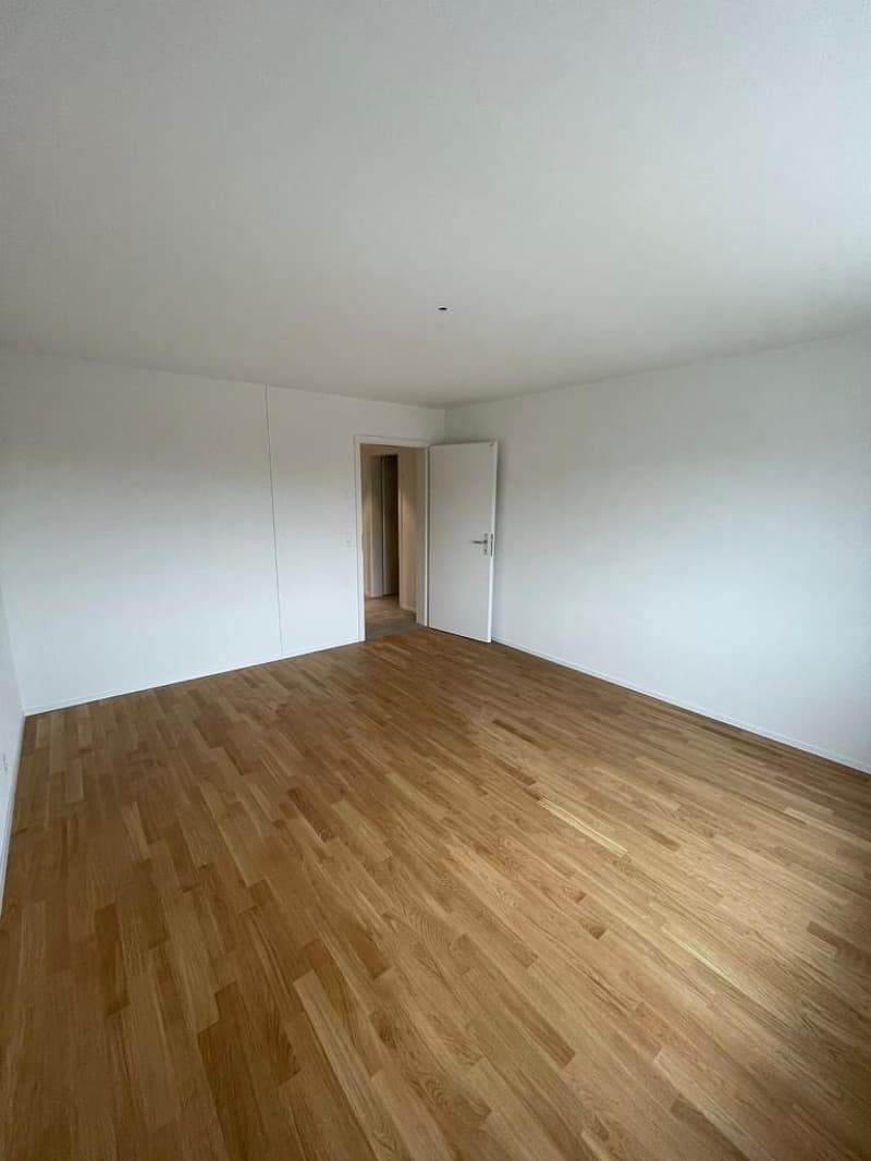 Moderne 4.5-Zimmer-Wohnung  ideal für Paare oder Familien (2)