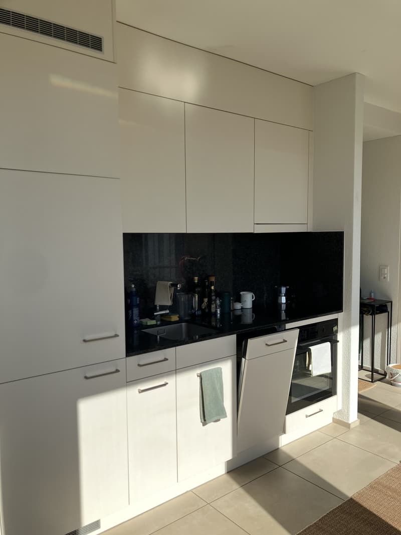 Beautiful flat in top location in Zurich! (2)