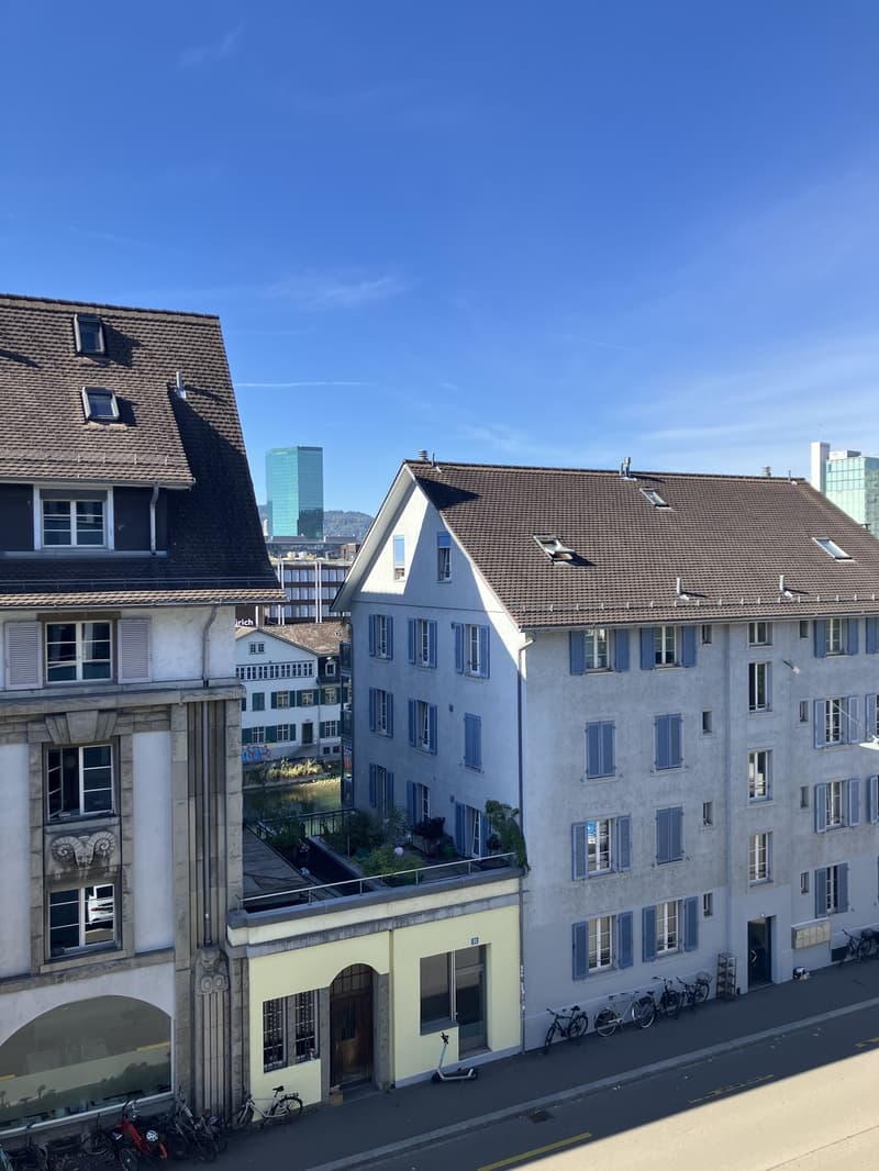 Beautiful flat in top location in Zurich! (5)