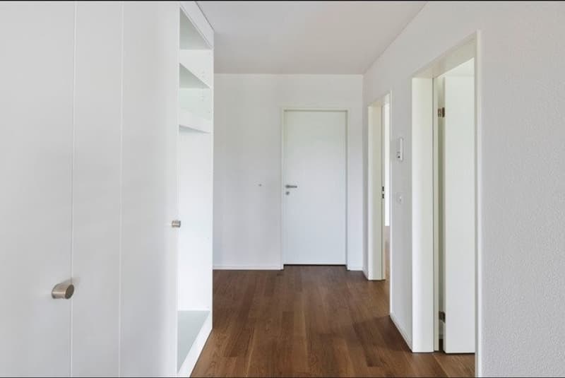 Wunderschöne 2 1/2 Zimmerwohnung im EG (4)