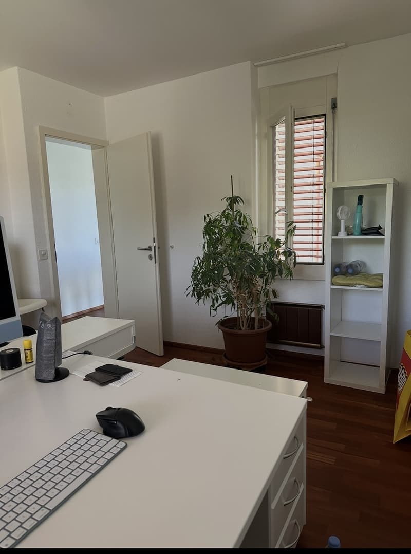 einen Nachmieter fuer dieses wunderschoene und grosszuegige 4.5-Zimmer-Haus in attraktiver Lage (4)
