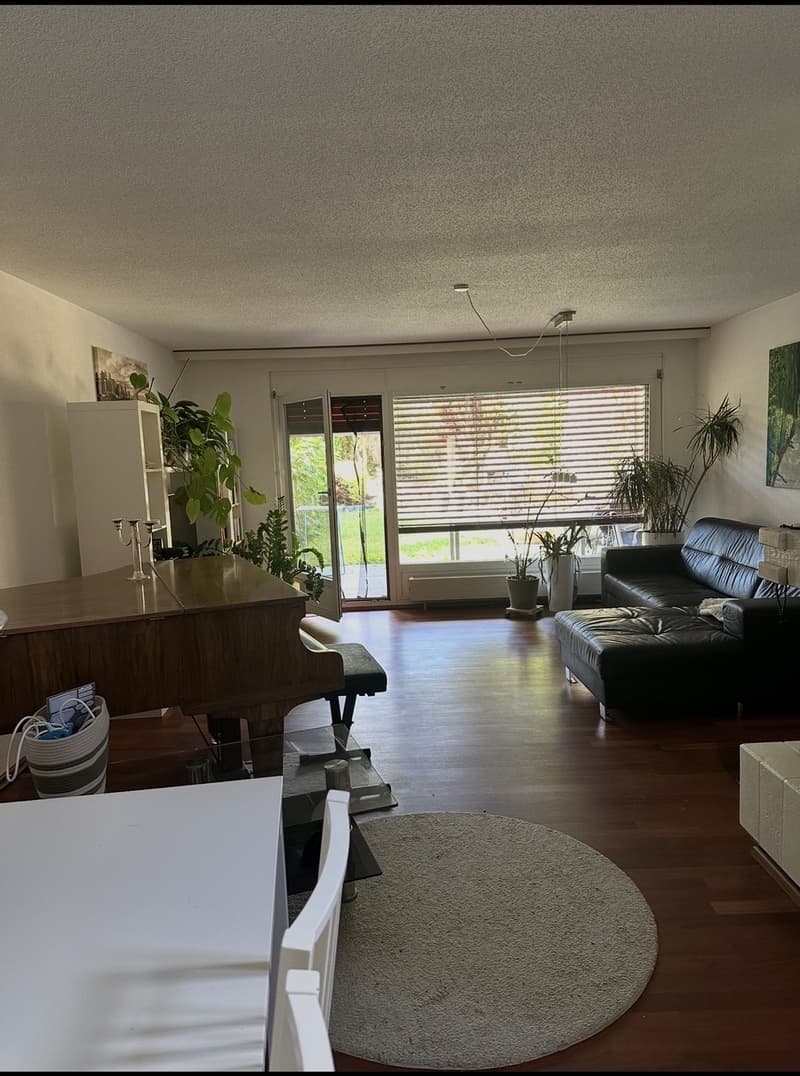 einen Nachmieter fuer dieses wunderschoene und grosszuegige 4.5-Zimmer-Haus in attraktiver Lage (2)