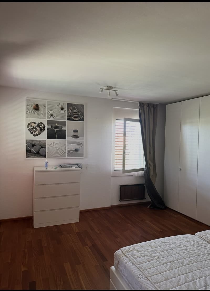 einen Nachmieter fuer dieses wunderschoene und grosszuegige 4.5-Zimmer-Haus in attraktiver Lage (3)