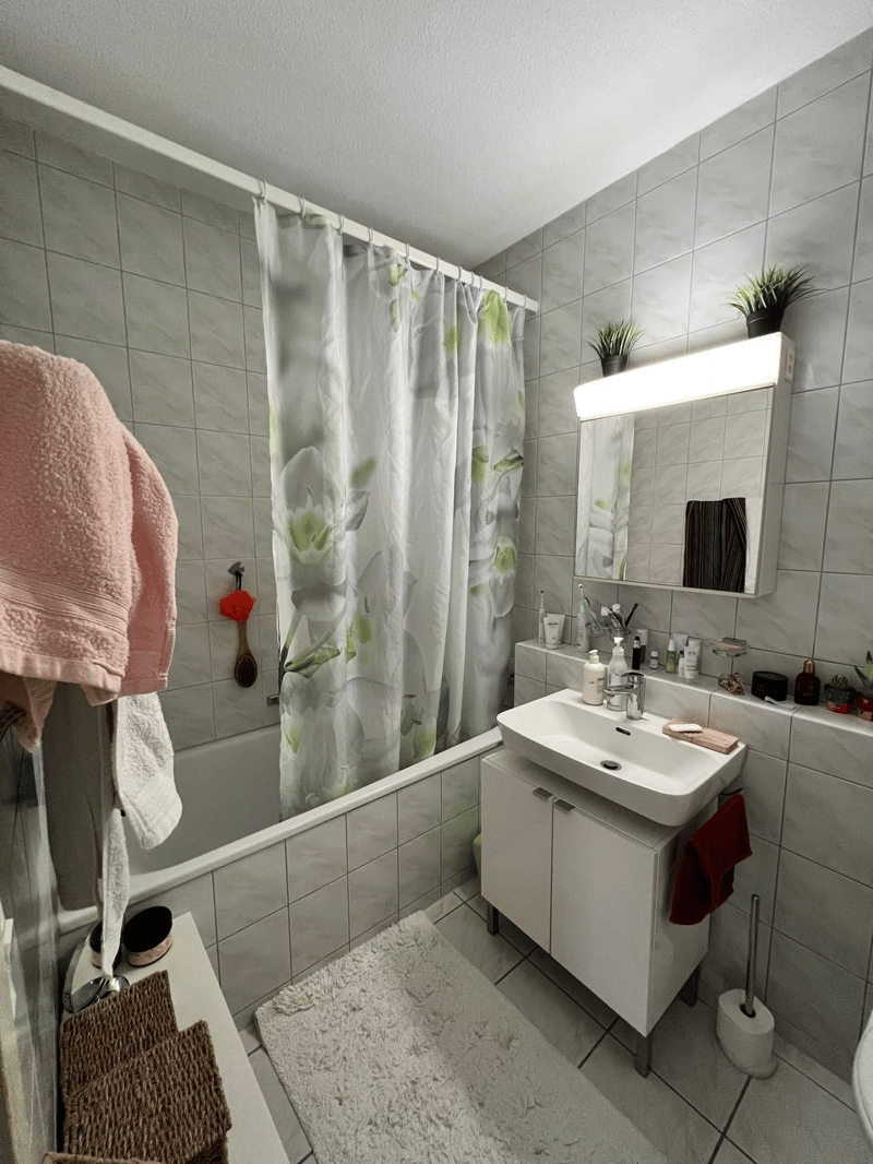 Room in Zug Ideal for Regular Short Stays, with Plenty of Privacy (6)