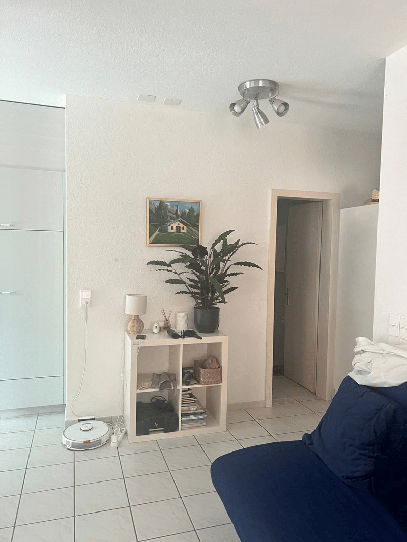 Room in Zug Ideal for Regular Short Stays, with Plenty of Privacy (4)