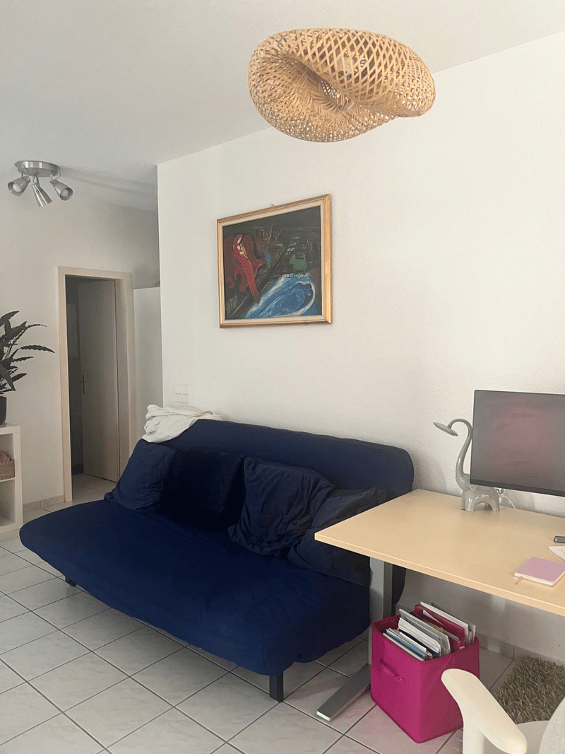 Room in Zug Ideal for Regular Short Stays, with Plenty of Privacy (3)