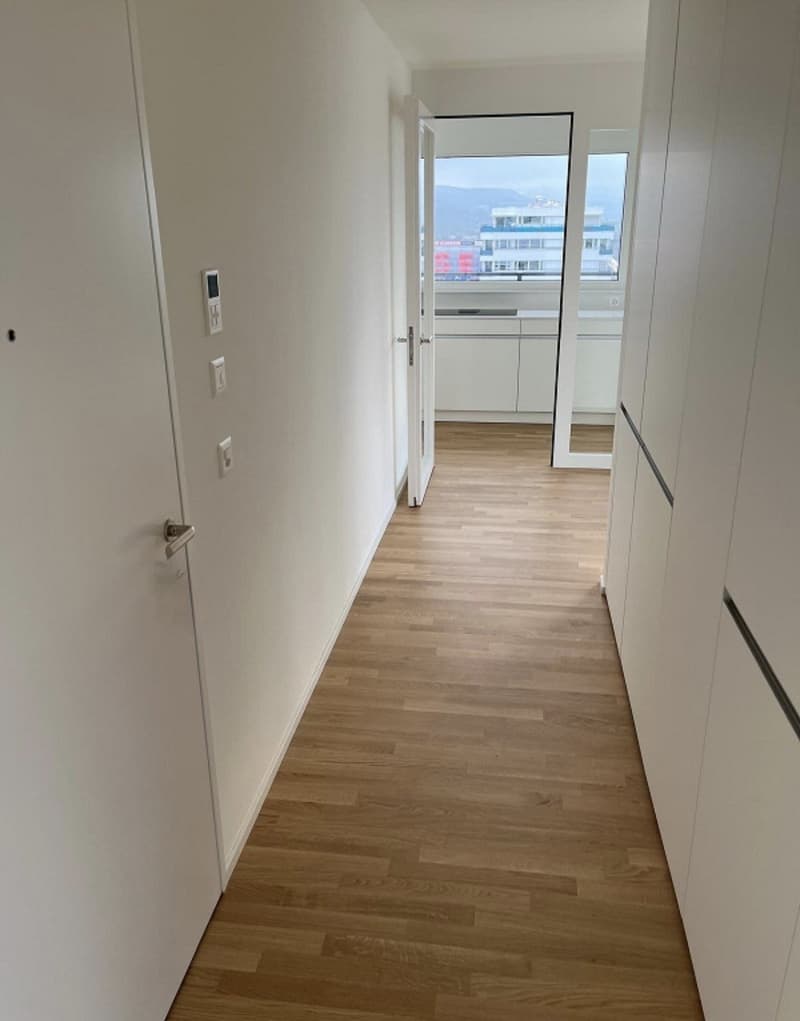 2 ½ Zimmer-Wohnung, 4052 Basel (1)