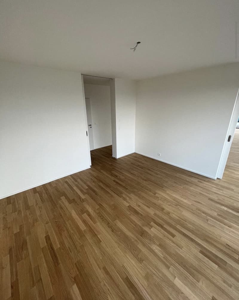 2 ½ Zimmer-Wohnung, 4052 Basel (11)