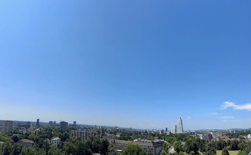 2 ½ Zimmer-Wohnung, 4052 Basel (5)
