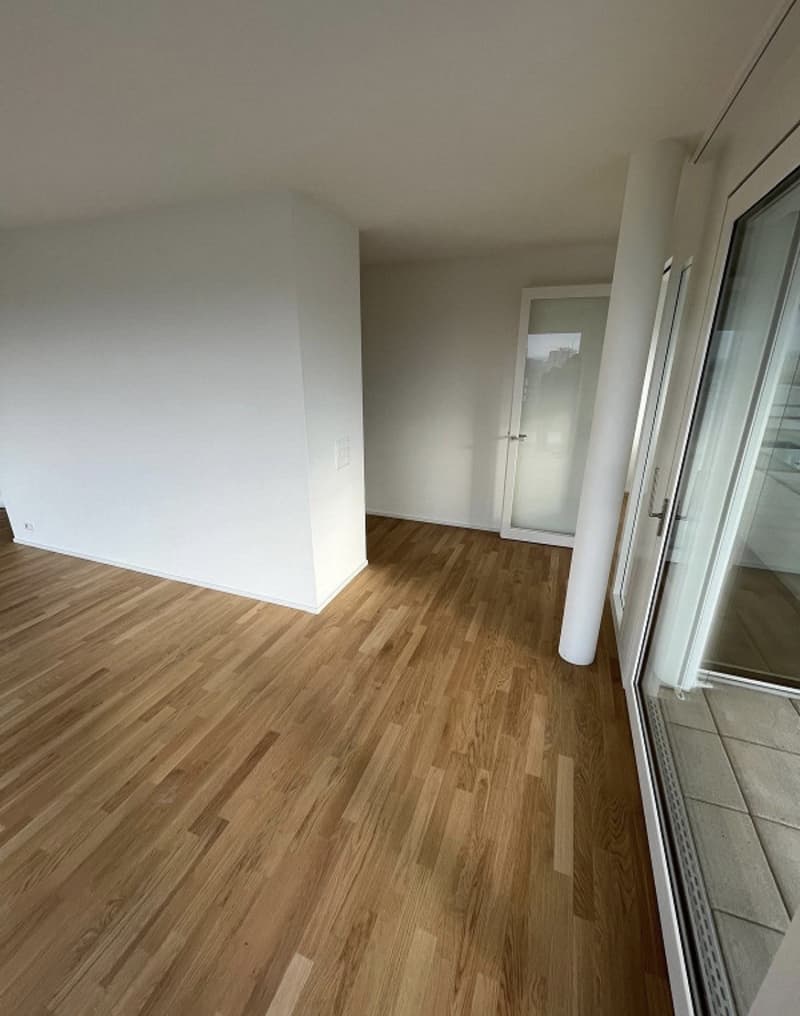 2 ½ Zimmer-Wohnung, 4052 Basel (12)