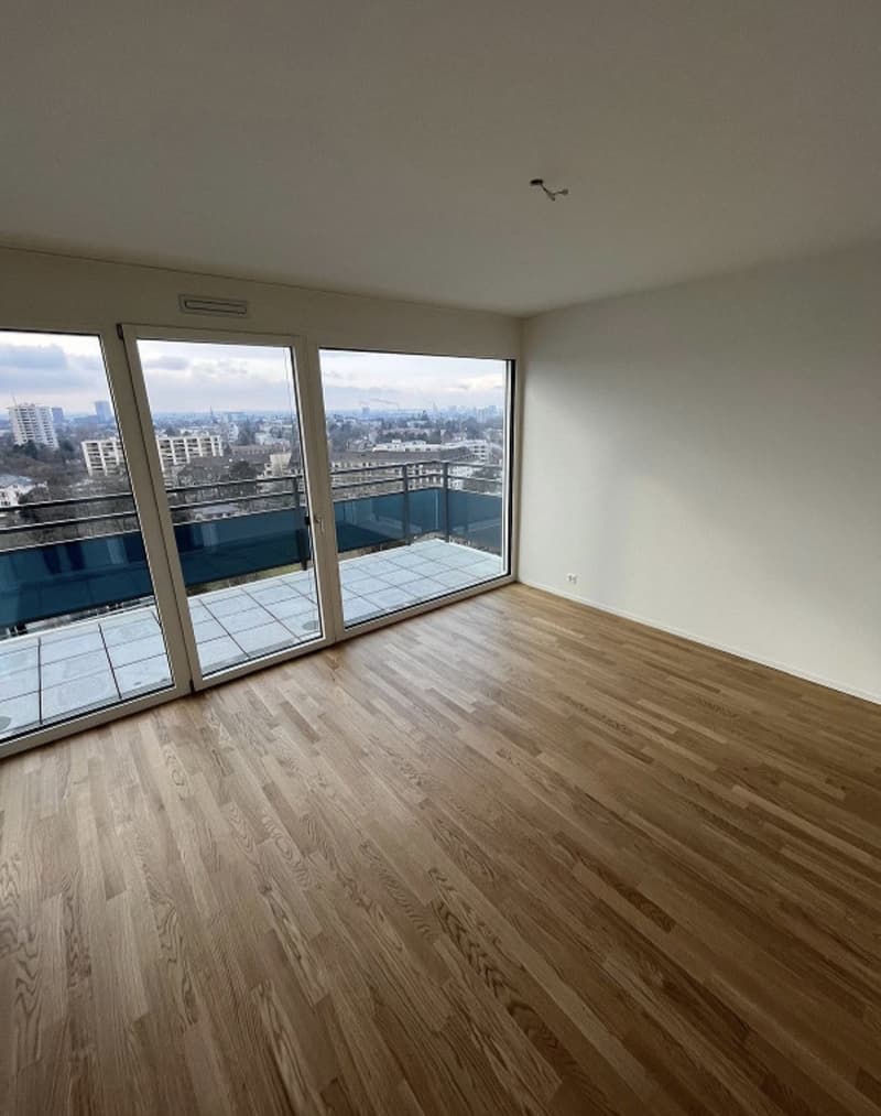 2 ½ Zimmer-Wohnung, 4052 Basel (3)
