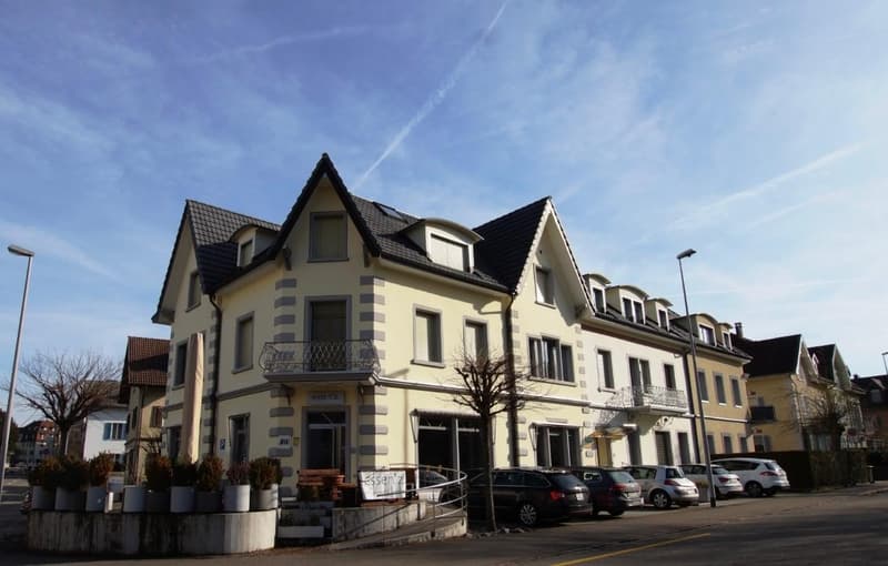 Möblierte 2.5-Zimmer-Wohnung in Brugg ab sofort zu vermieten Fröhlichstrasse 37, 5200 Brugg AG (5)