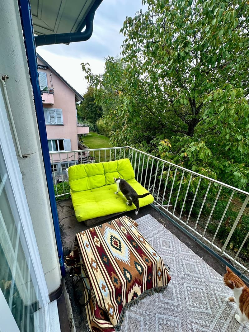 WG-Zimmer (5)