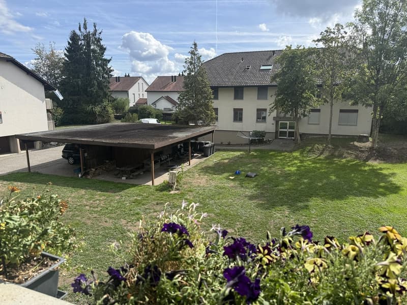 Nachmieter gesucht 3.5-Zimmer-Wohnung (12)