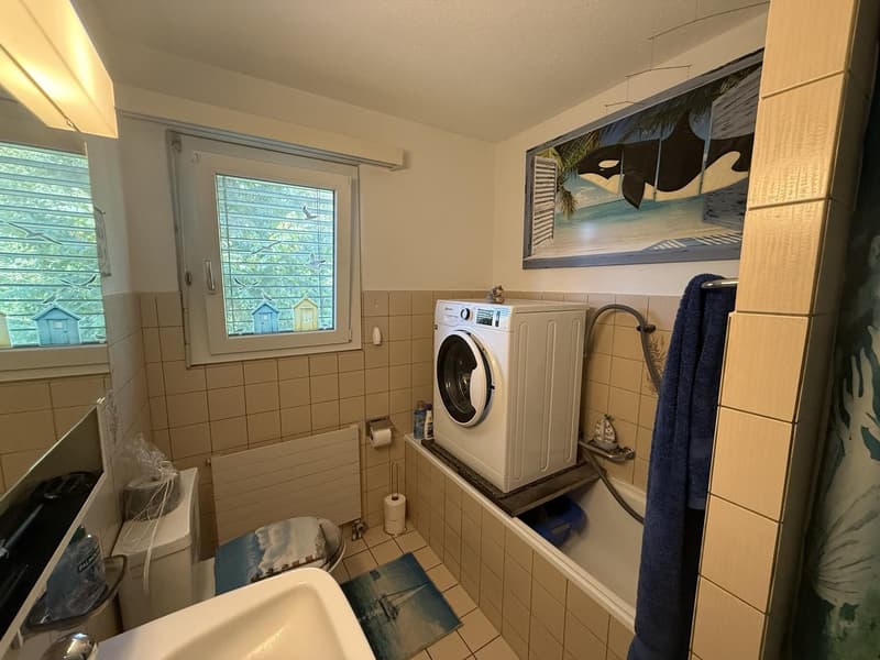 Nachmieter gesucht 3.5-Zimmer-Wohnung (9)