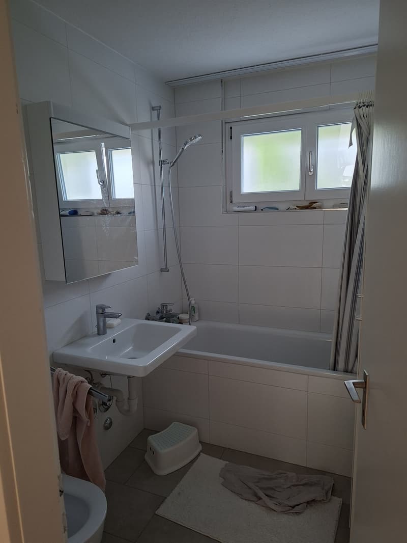3 ½ Zimmer-Wohnung, 9014 st. Gallen (5)