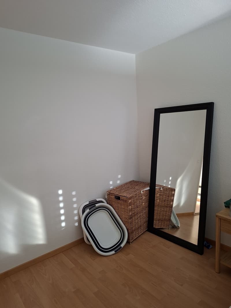 3 ½ Zimmer-Wohnung, 9014 st. Gallen (4)