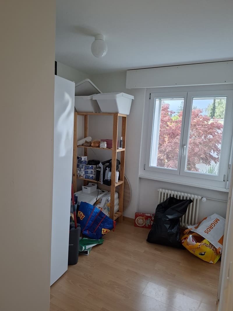 3 ½ Zimmer-Wohnung, 9014 st. Gallen (6)