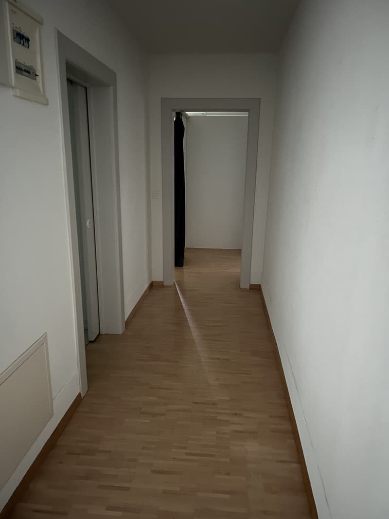 2 Zimmer-Wohnung, 3007 bern (3)