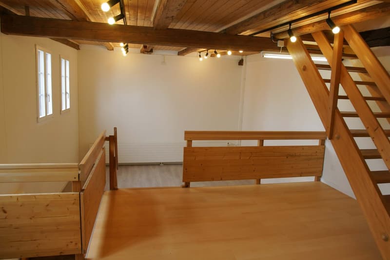 Einzigartige Maisonette-Wohnung (7)