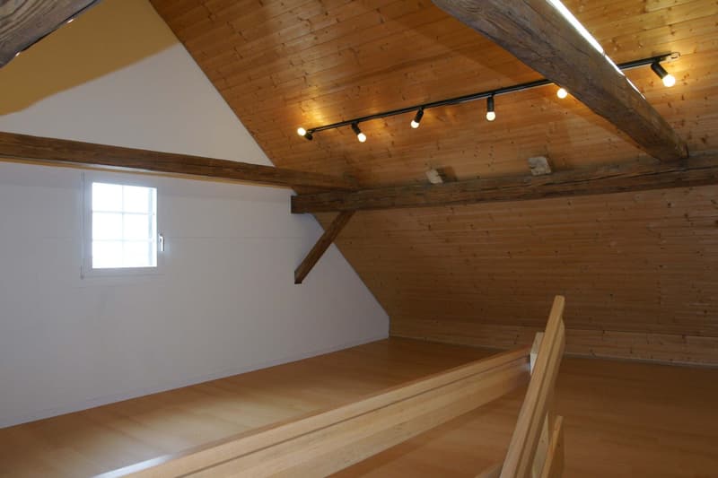 Einzigartige Maisonette-Wohnung (9)