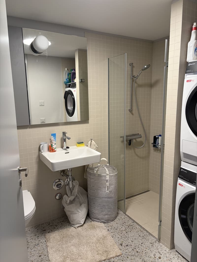 Wohnung in Zürich Triemli 48 m² ab 01.11.2026 (5)