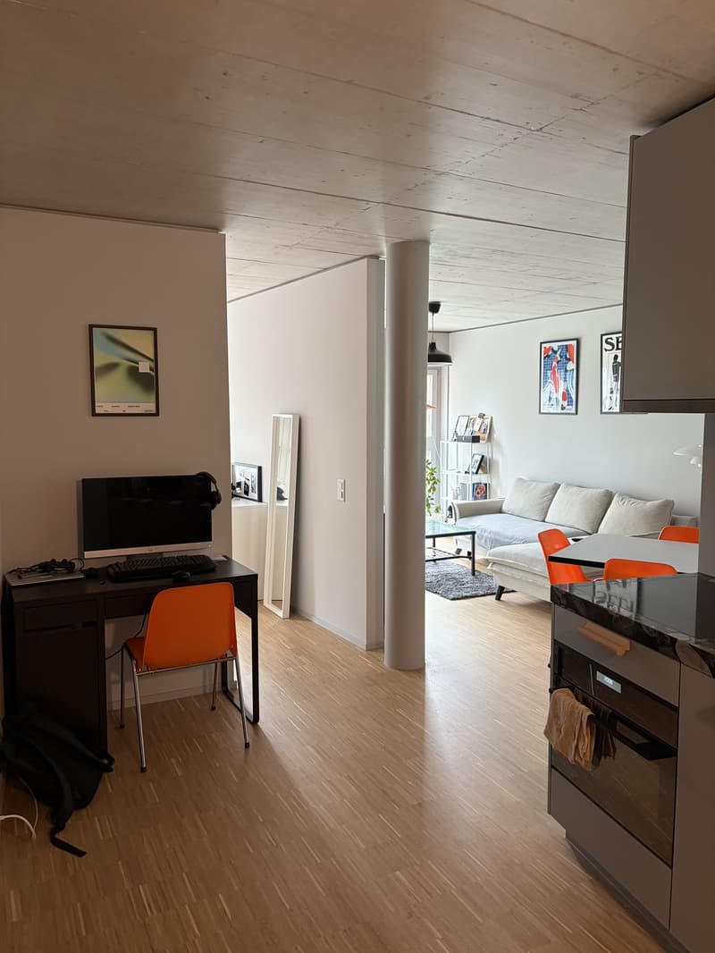 Wohnung in Zürich Triemli 48 m² ab 01.11.2026 (2)
