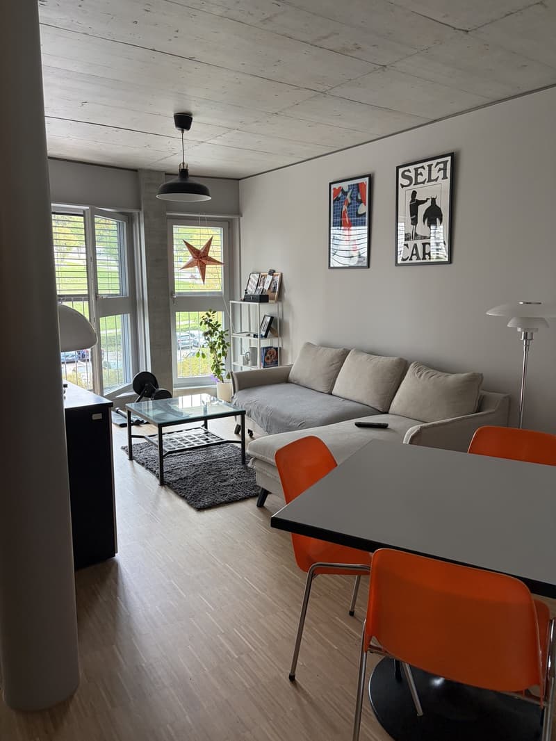 Wohnung in Zürich Triemli 48 m² ab 01.11.2026 (1)