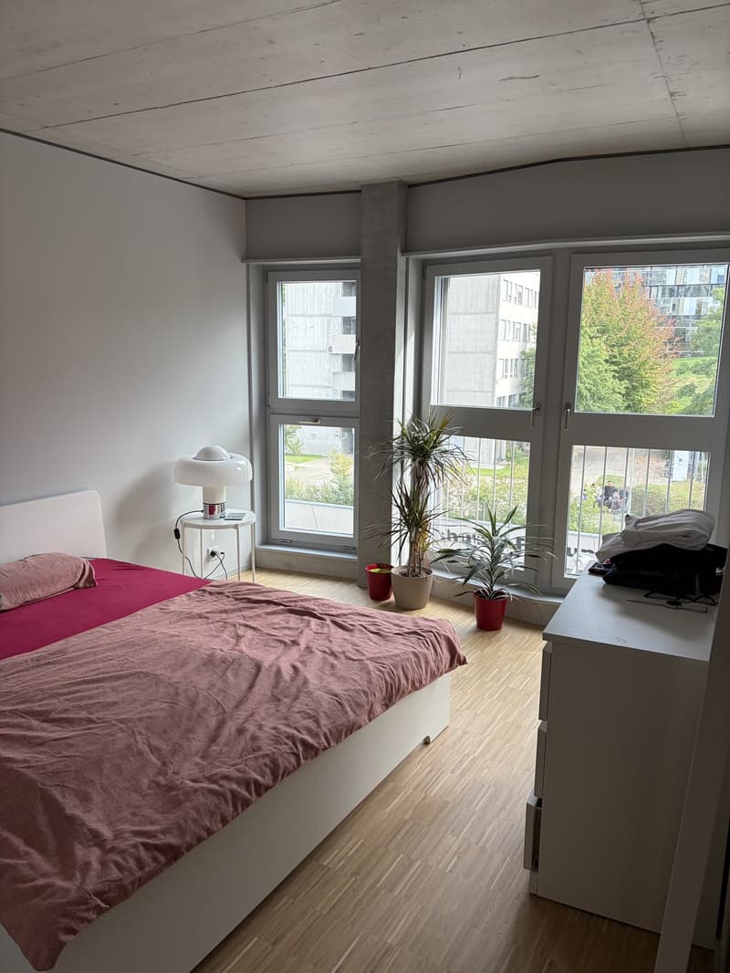 Wohnung in Zürich Triemli 48 m² ab 01.11.2026 (4)