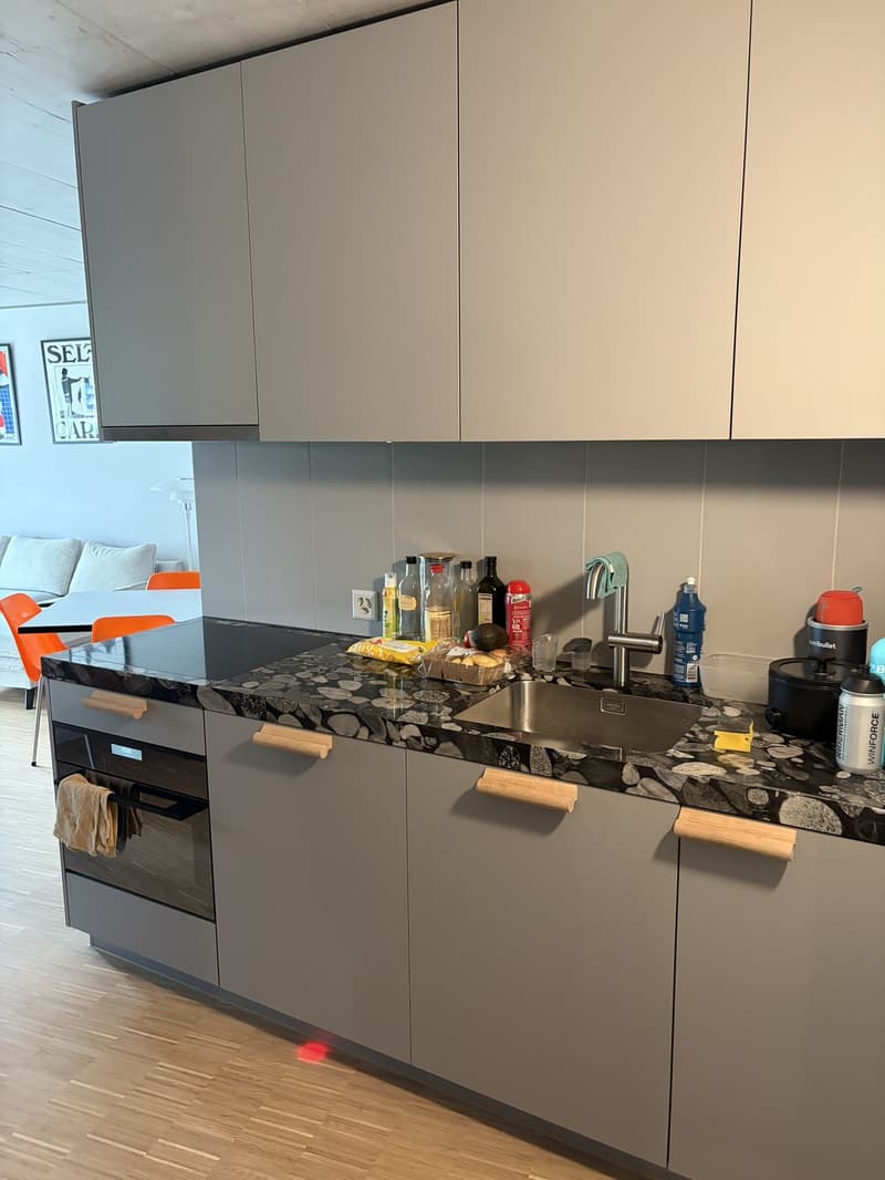 Wohnung in Zürich Triemli 48 m² ab 01.11.2026 (3)