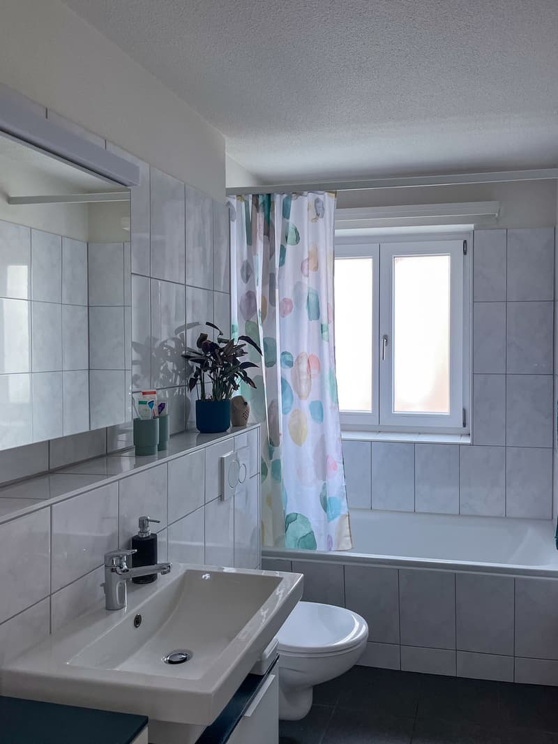 3.5 ZI-Wohnung Stadt Luzern zur UNTERMIETE (5)