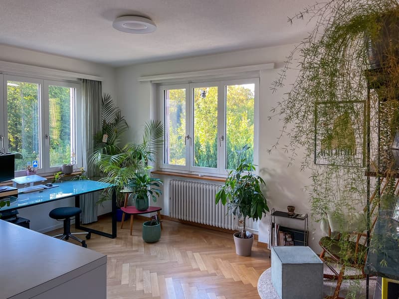 3.5 ZI-Wohnung Stadt Luzern zur UNTERMIETE (2)