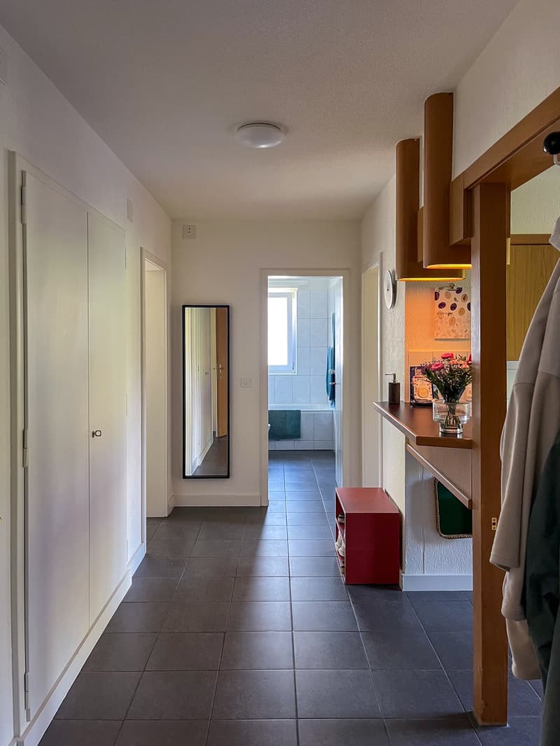 3.5 ZI-Wohnung Stadt Luzern zur UNTERMIETE (7)