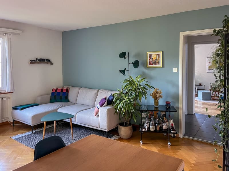 3.5 ZI-Wohnung Stadt Luzern zur UNTERMIETE (6)