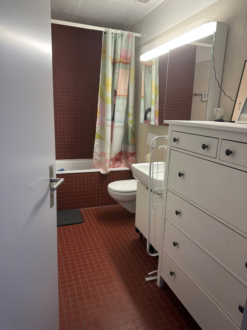Charmante 3.5-Zimmer-Wohnung auf Zeit in Wallisellen direkt am Bahnhof (13.11.2026 bis 28.12.2026) (11)