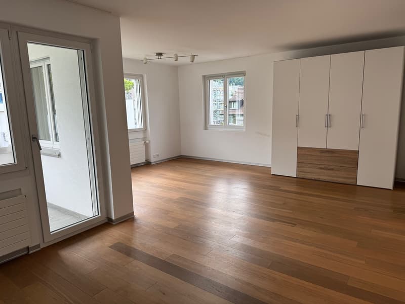 28 m² room + 8 m² private balcony | Garden & sauna | Horgen (1)