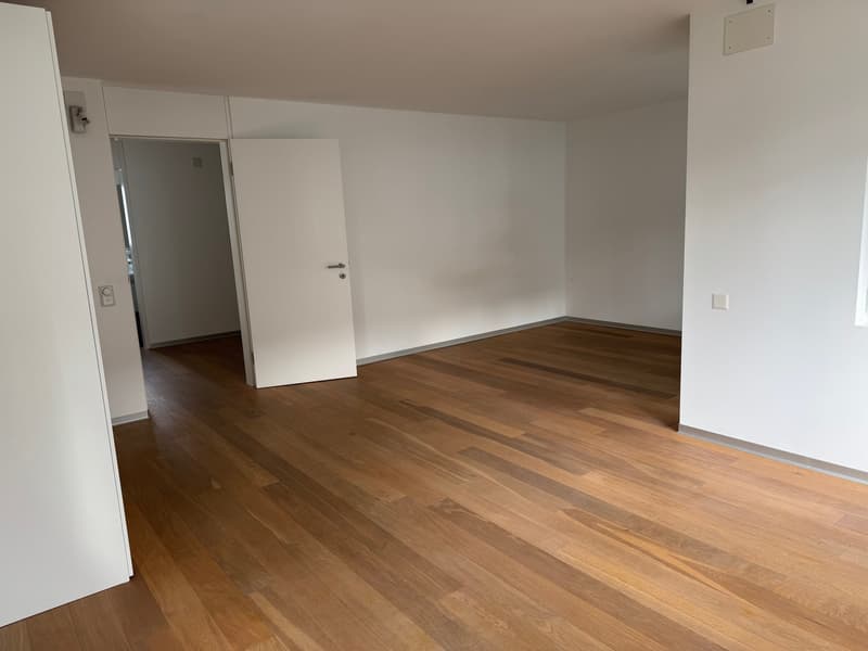 28 m² room + 8 m² private balcony | Garden & sauna | Horgen (3)