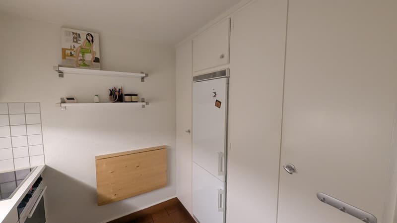 Küche mit geossem Kühlschrank und 3 Schubladen Gefrierfächern