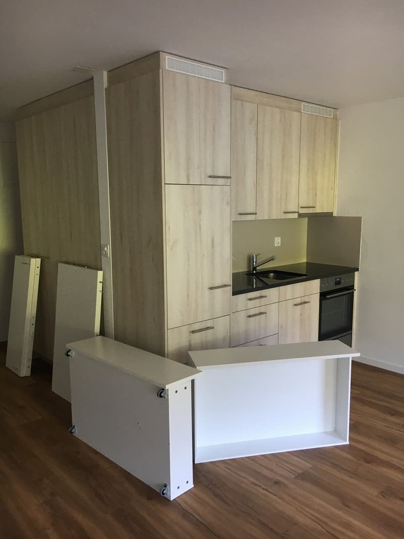 Günstige 1.5-Zimmer-Wohnung in Turbenthal komplett renoviert, Balkon & Tiefgarage (3)