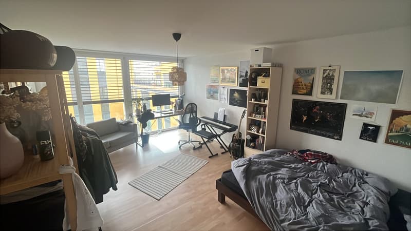 Room in a shared flat, 8046 Zürich (2)