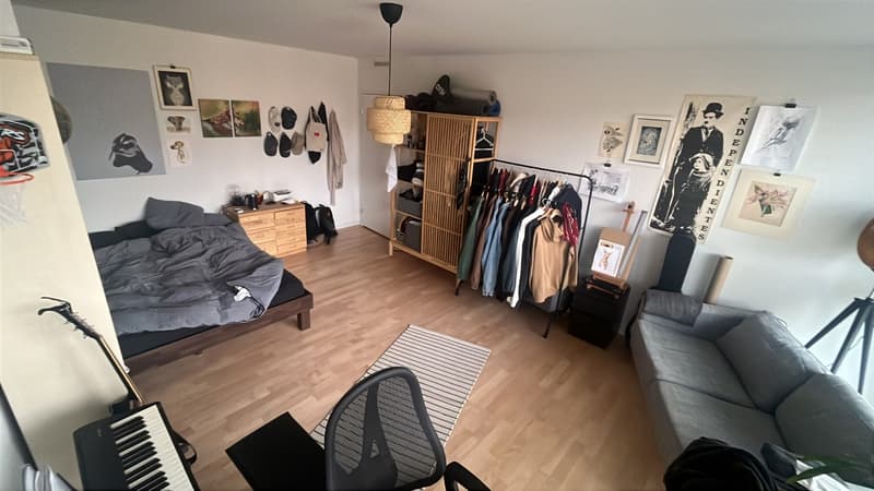 Room in a shared flat, 8046 Zürich (1)