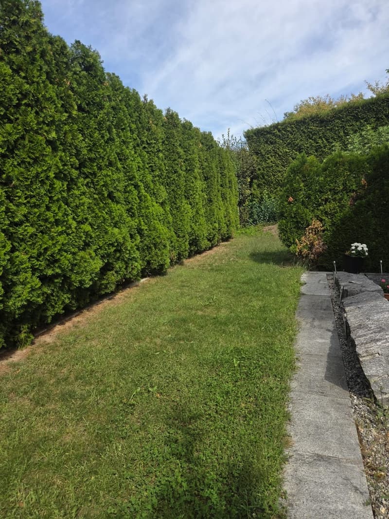 Helle & ruhige Terrassen- wohnung mit Gartensitzplatz (7)