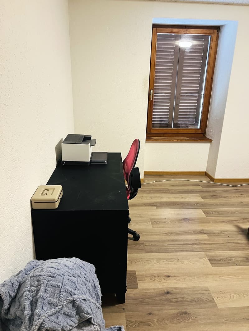 Appartement de 3 pièces à louer à Travers (8)