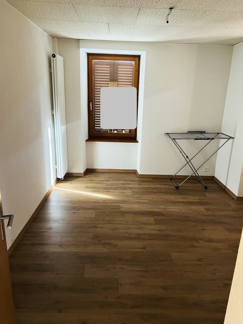 Appartement de 3 pièces à louer à Travers (1)