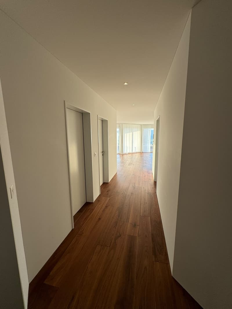 Traumhafte 4.5-Zimmer-Terrassenwohnung mit 139 m² und wunderschöner Aussicht (8)